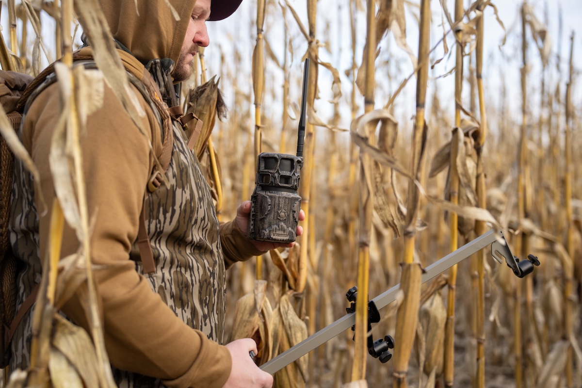 Kill More Mature Bucks in October
