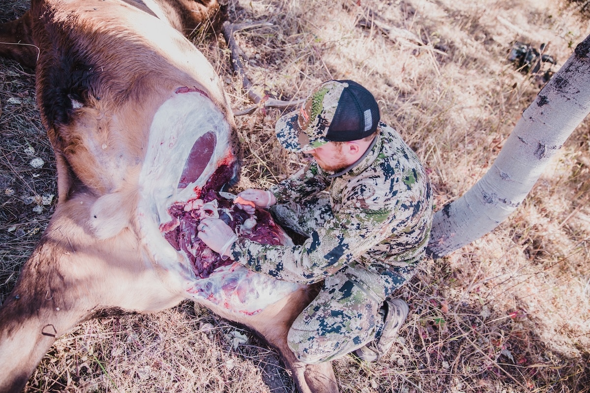 How to Retrieve Game in the Backcountry